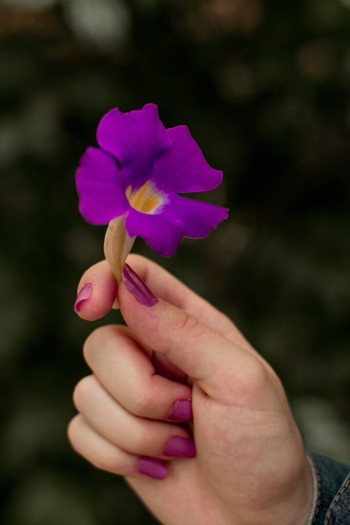 segurando flor roxa